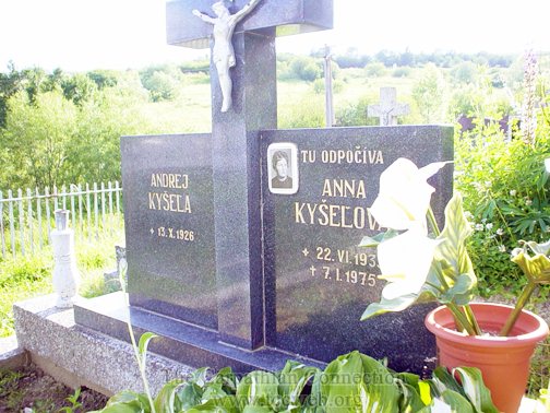 Cemetery in Plavnica